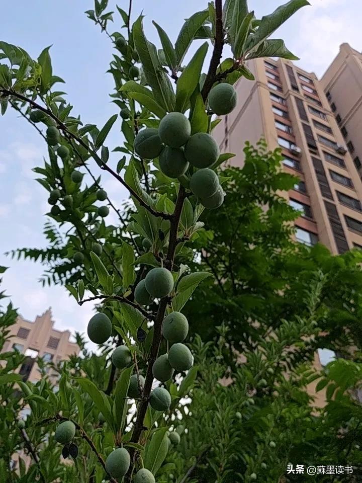 没有谁会无缘无故
选择转身离开，
那些看似突如其来的放弃，
都是无数个日夜
积攒