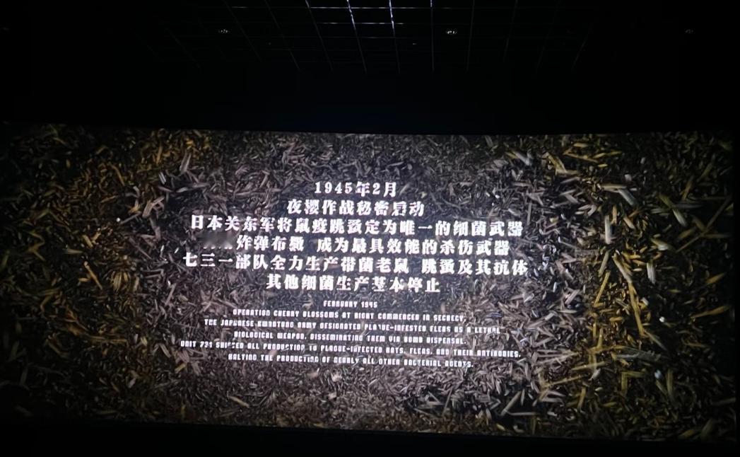 731 看完了，一句话，无一生还，历史上也是无一生还，10 分我给 9.5 分，