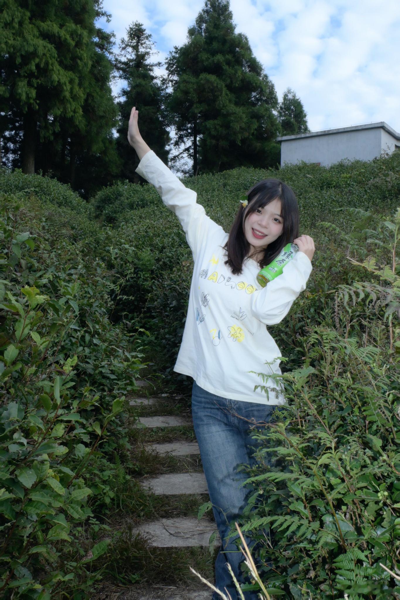 《向山海出发》里的茶园太nice了，新鲜茶叶又绿又饱满！据说康师傅绿茶说的“原叶