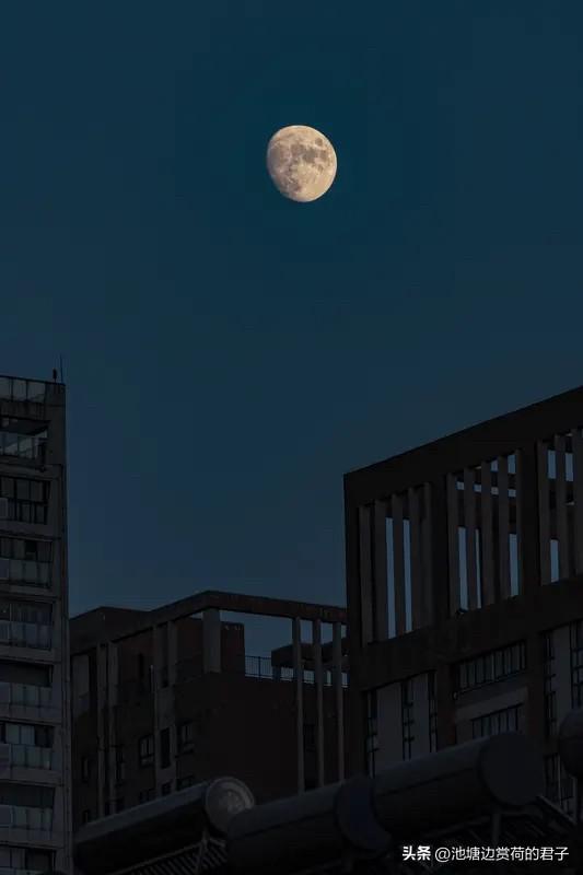 “今夜月色真美”，这话藏着中国人独有的浪漫。就像元宵佳节，月色温柔又浪漫，说不定