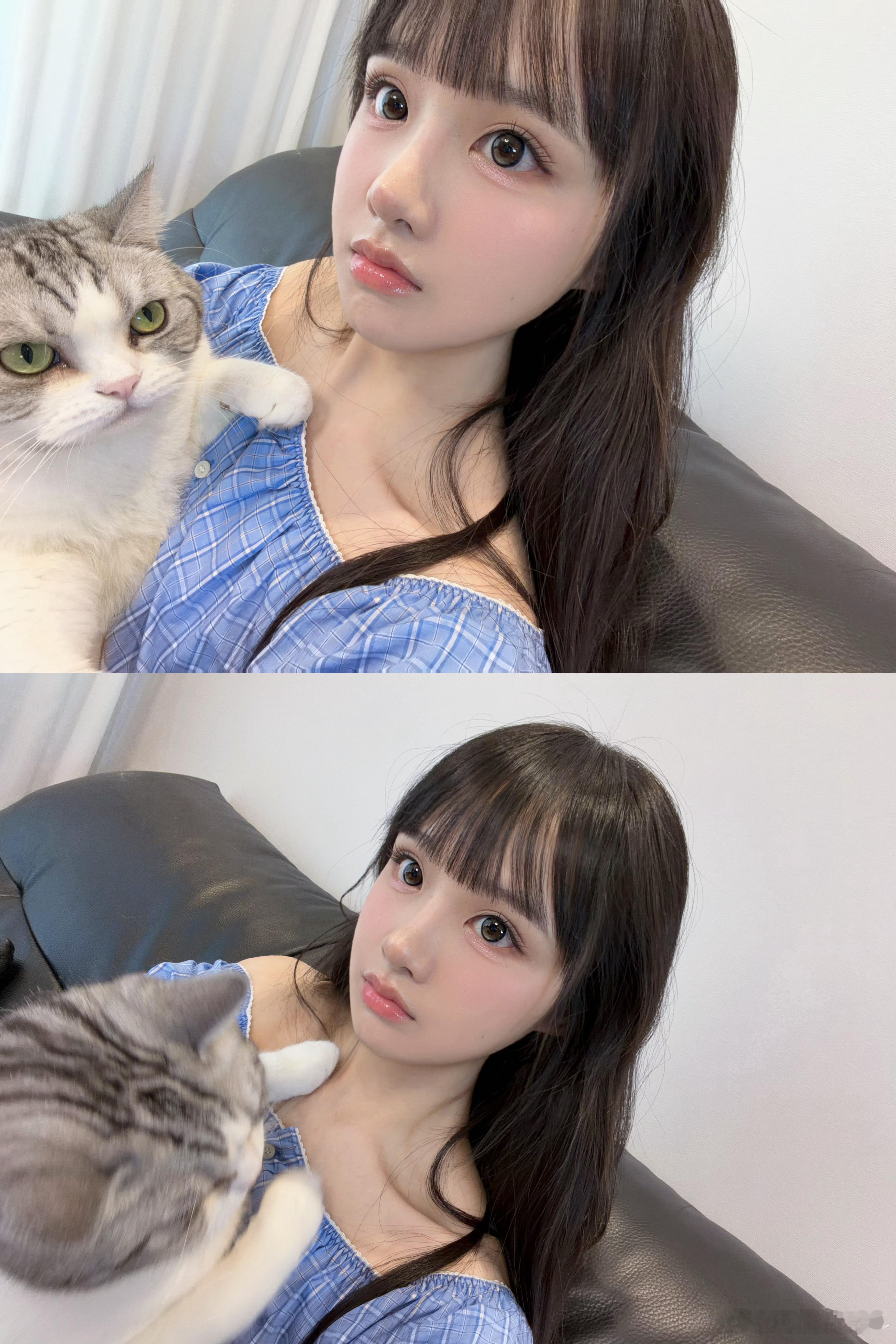 lily肥嘟嘟 