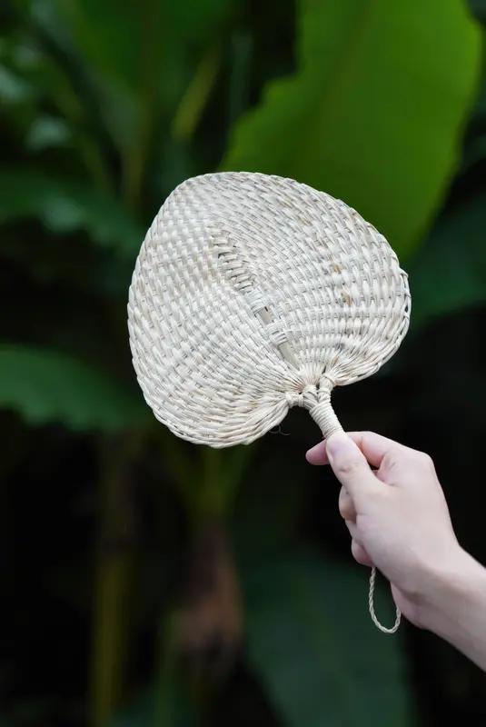 一把蒲扇度夏天？