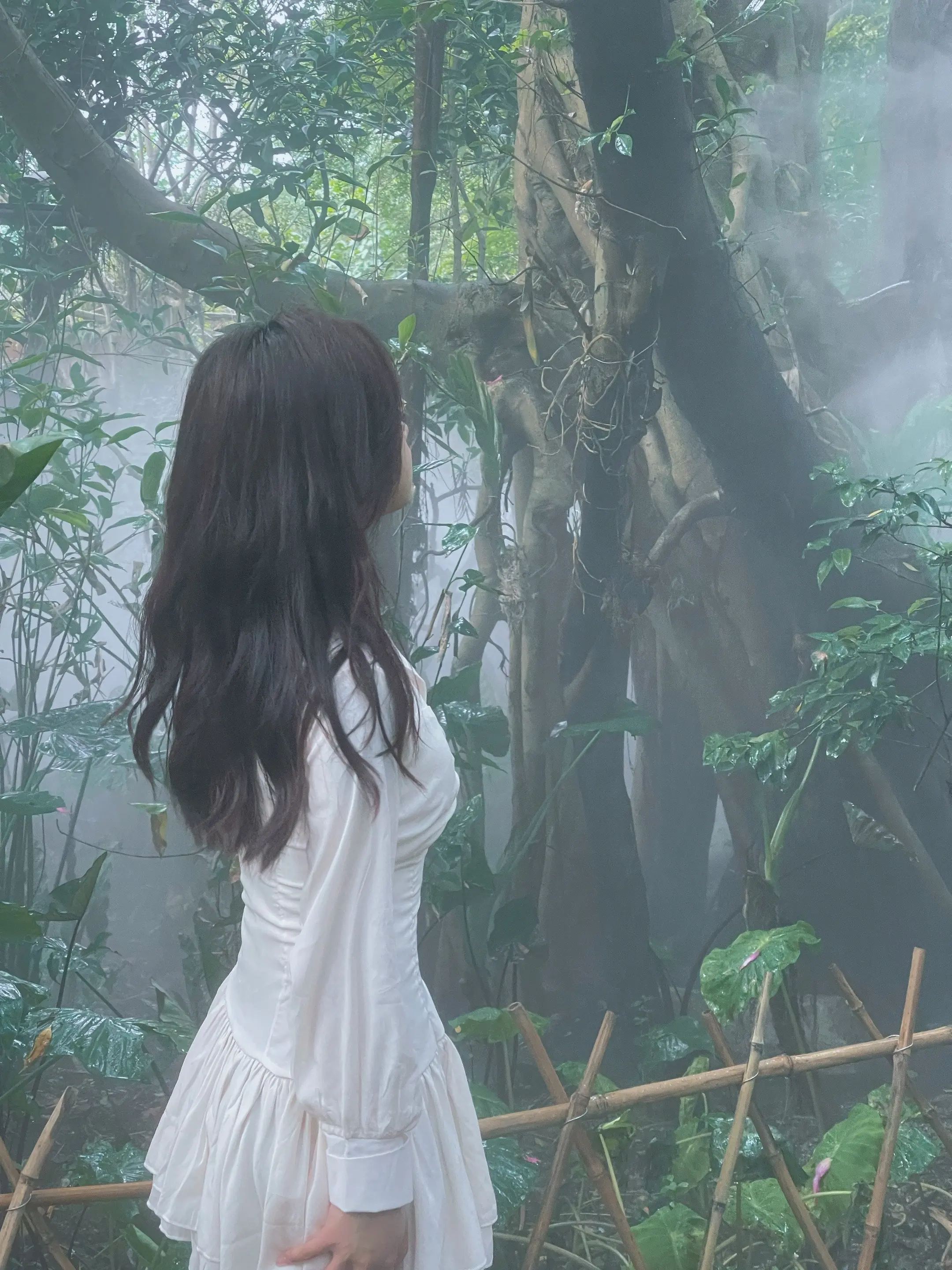 于是我开始爱阳光爱树木 爱一切不会背叛和突然消失的东西