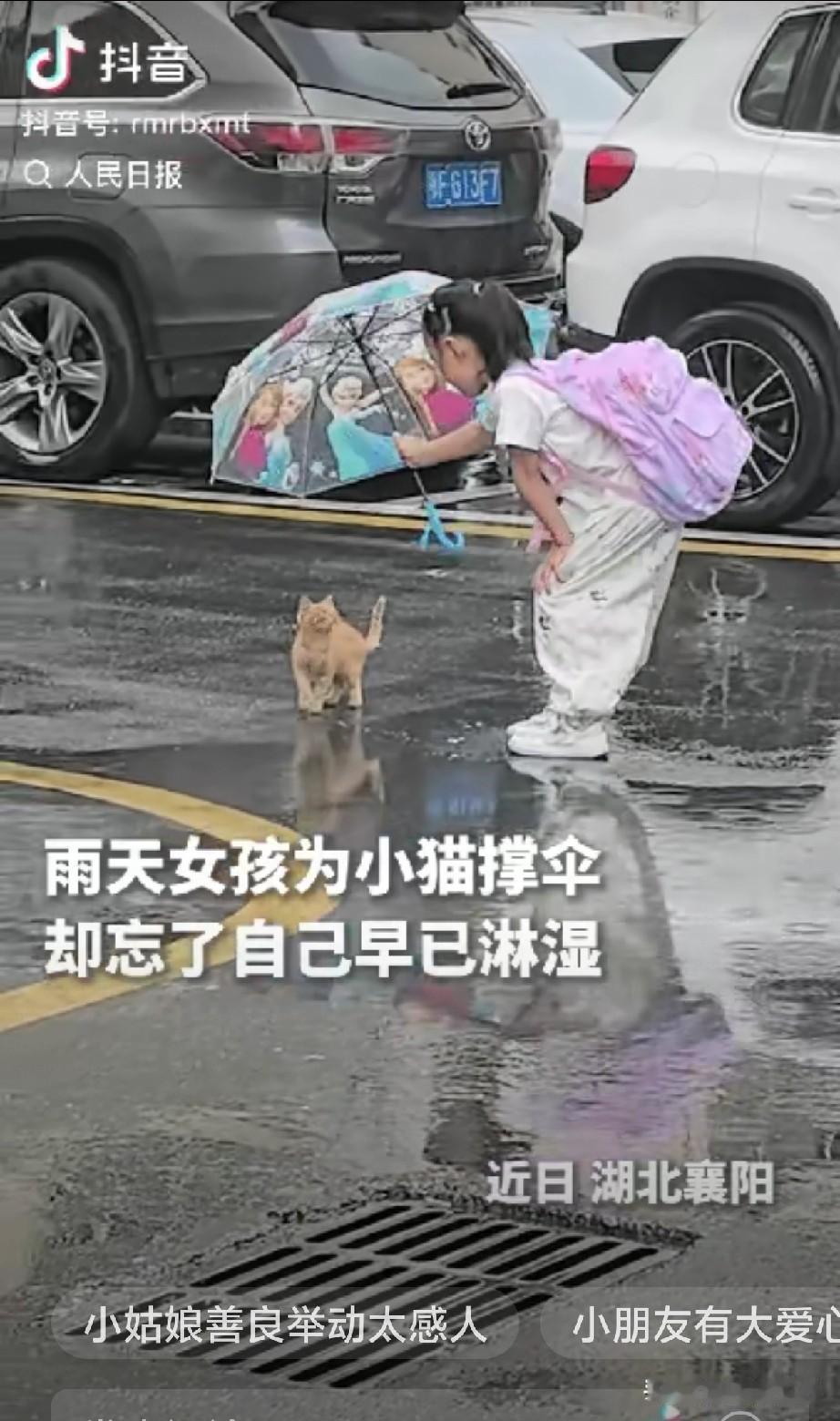 “上人民日报了！”湖北襄阳，一个小姑娘看到雨里有只流浪猫，她没有绕道走，而是弯腰