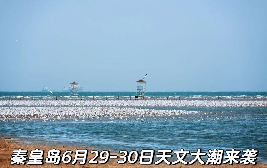 秦皇岛6月29-30日天文大潮来袭
⚠️ 安全提示：6月29日至30日，秦皇岛沿
