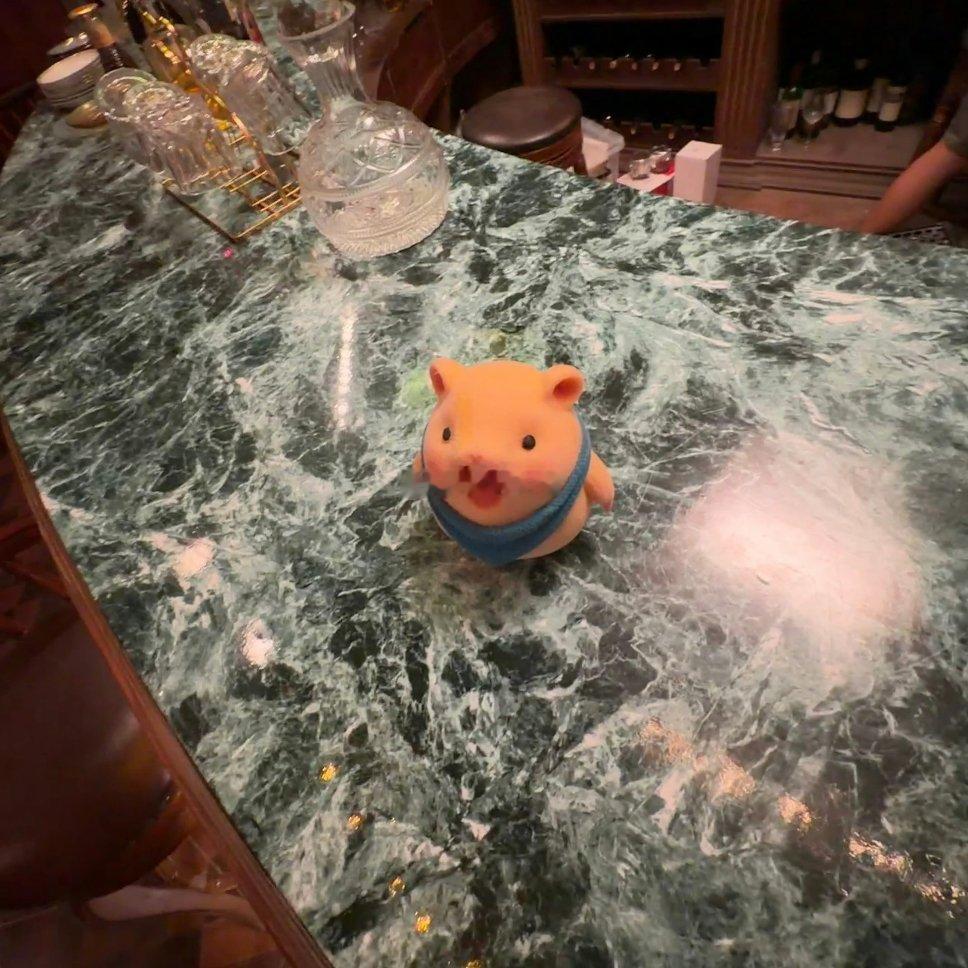 😼（🐷） 