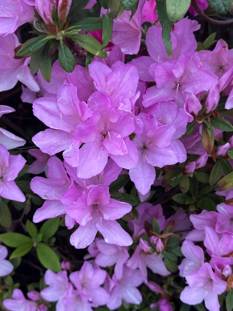 阳光信用  阳光信用 互动打卡 欢喜是活力之源。它带来生命的跃动，突破困难的障碍