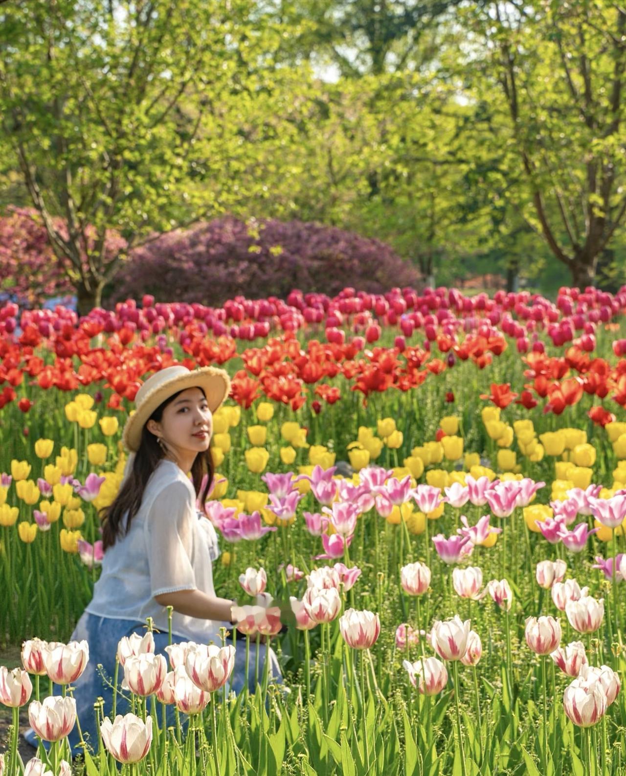 相册里最满意的照片摄影作品：漫游春天
