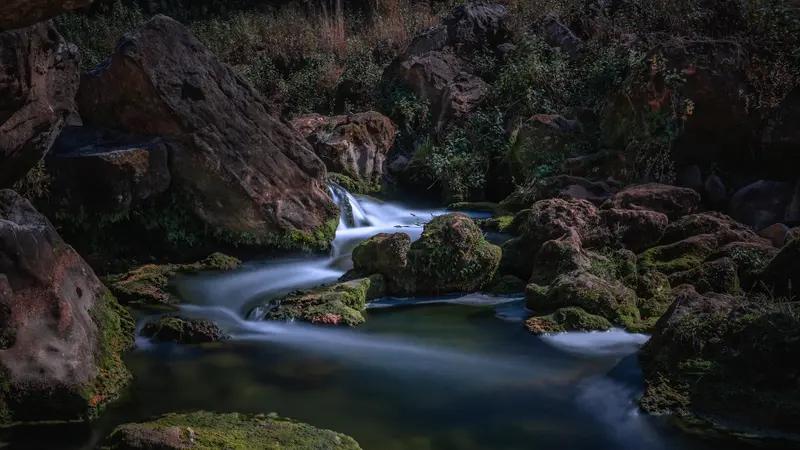 我会坚持每天创作。创作对我而言，是精神的“活法”。就像溪水要流动才不会腐坏，思想