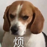 大粗心爱聊社会