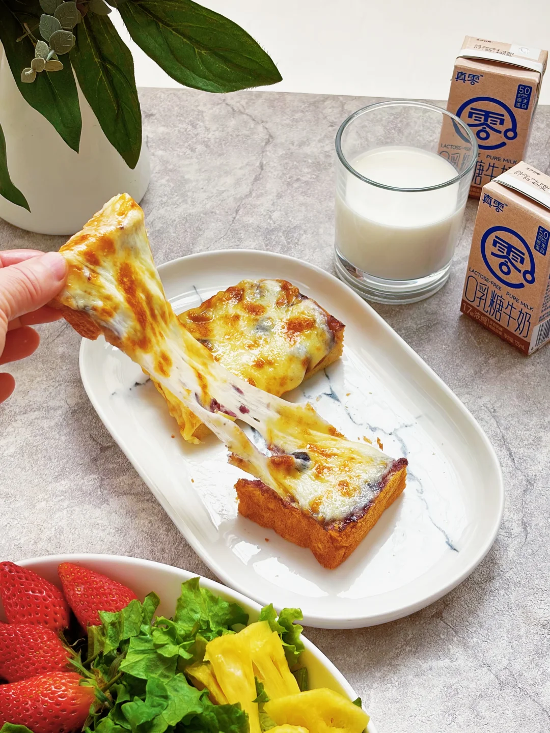 早餐真香，芝士吐司+0乳糖牛奶+果蔬沙拉