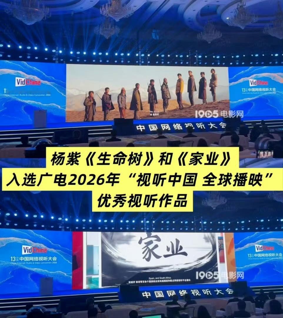 杨紫两部电视剧入选了广电优秀作品，恭喜紫妹 