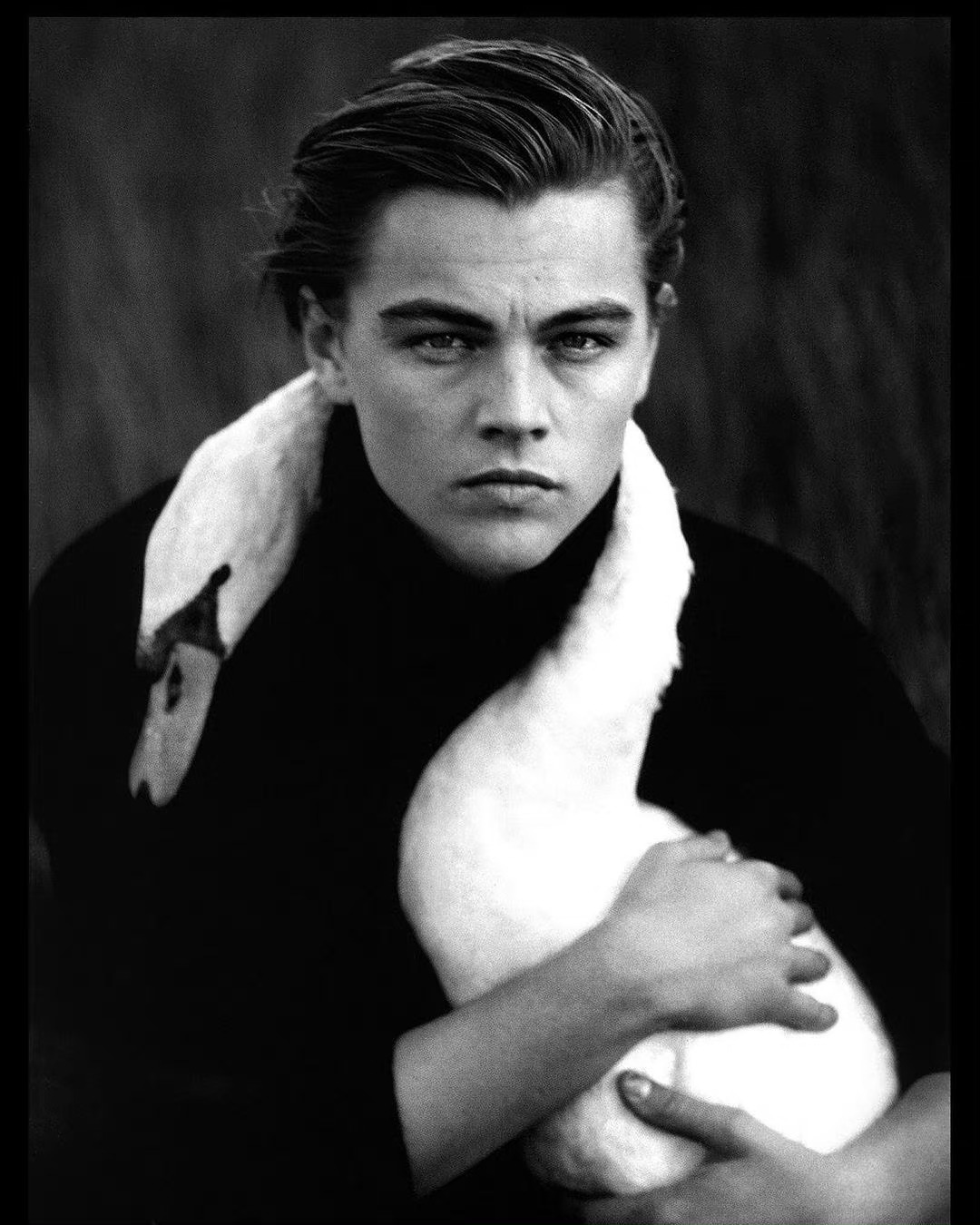 好莱坞近代史五顶艺人：顶级作品、顶级奖项、顶级演技、顶级星光、顶级颜值应该就小李