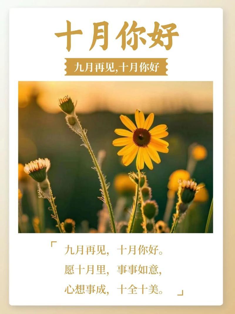 金秋十月，又是到了结婚的高峰期门前的马路上每天都有五六起结婚的车队经过，车队越来