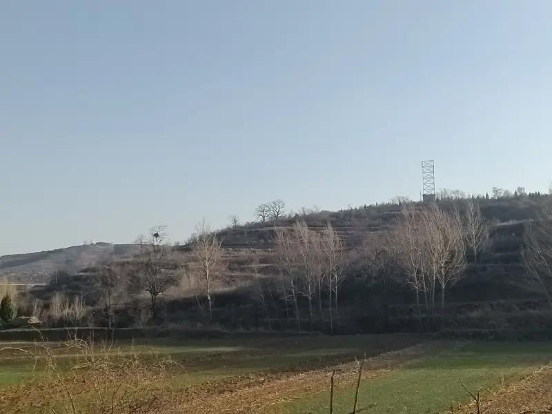 前阵子刷到好多吐槽网格员半夜11点敲门普查、没打招呼就进门拍安全照的帖子，说实话