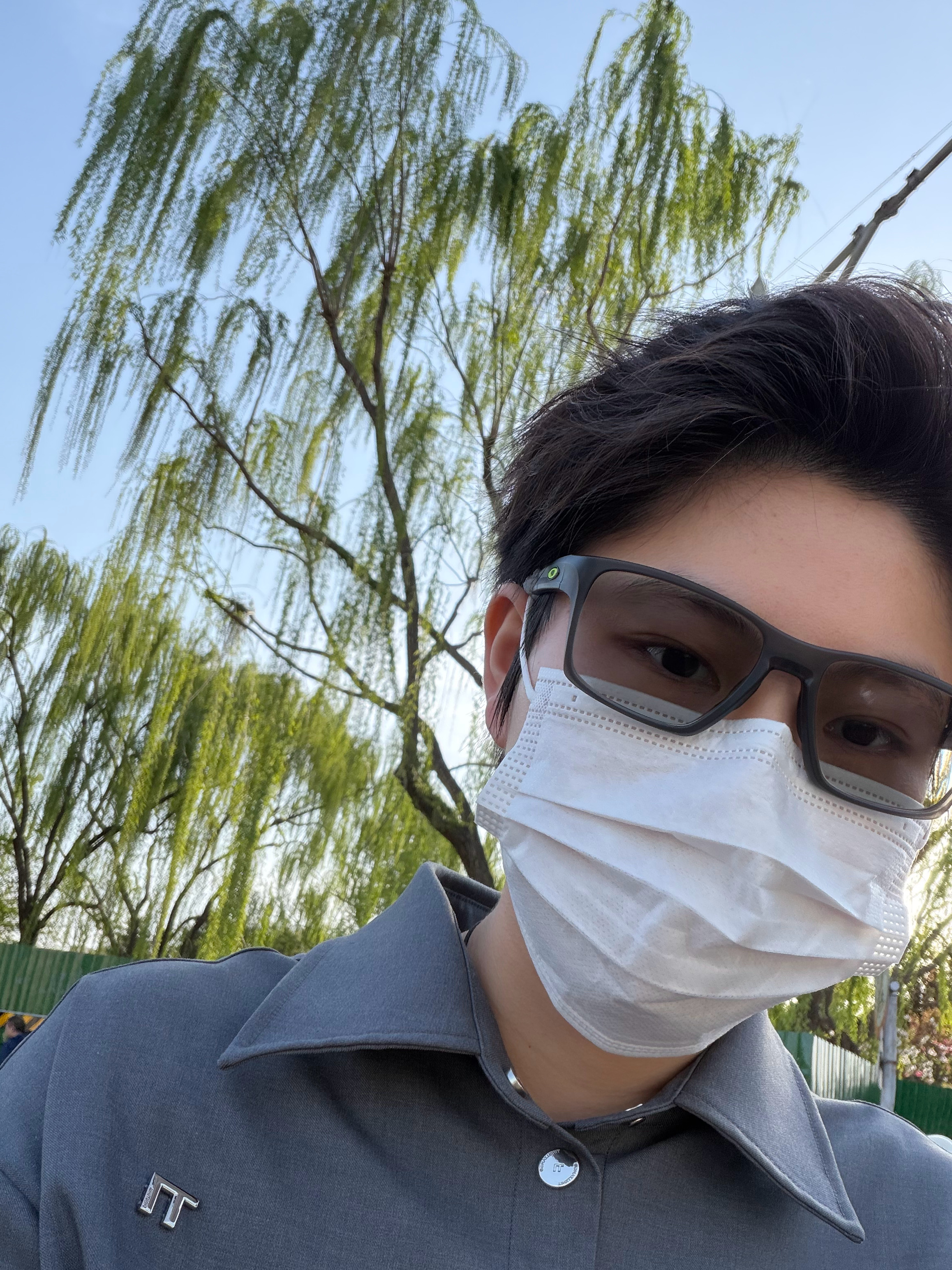 北京太好客了一团一团的柳絮往我嘴里送 