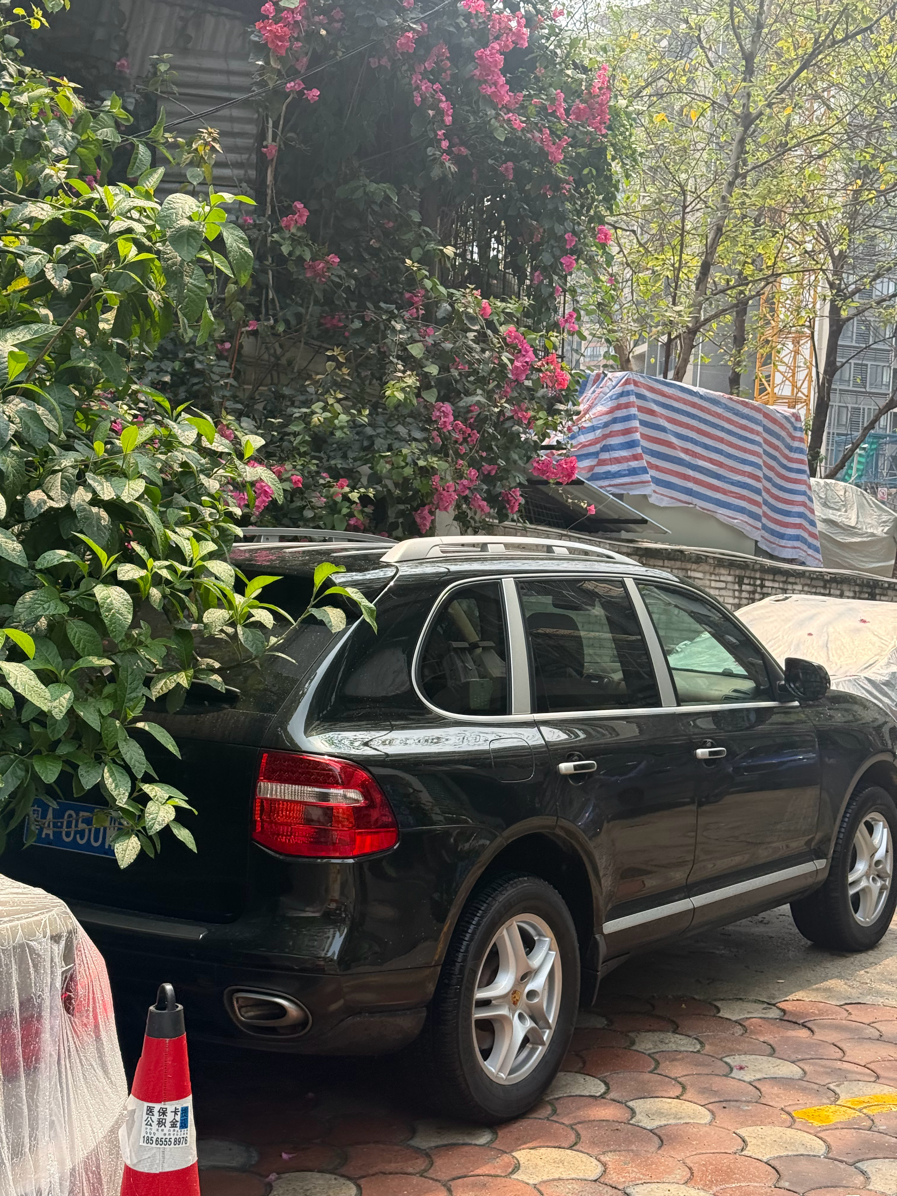 老登，老钱，还有什么…… 