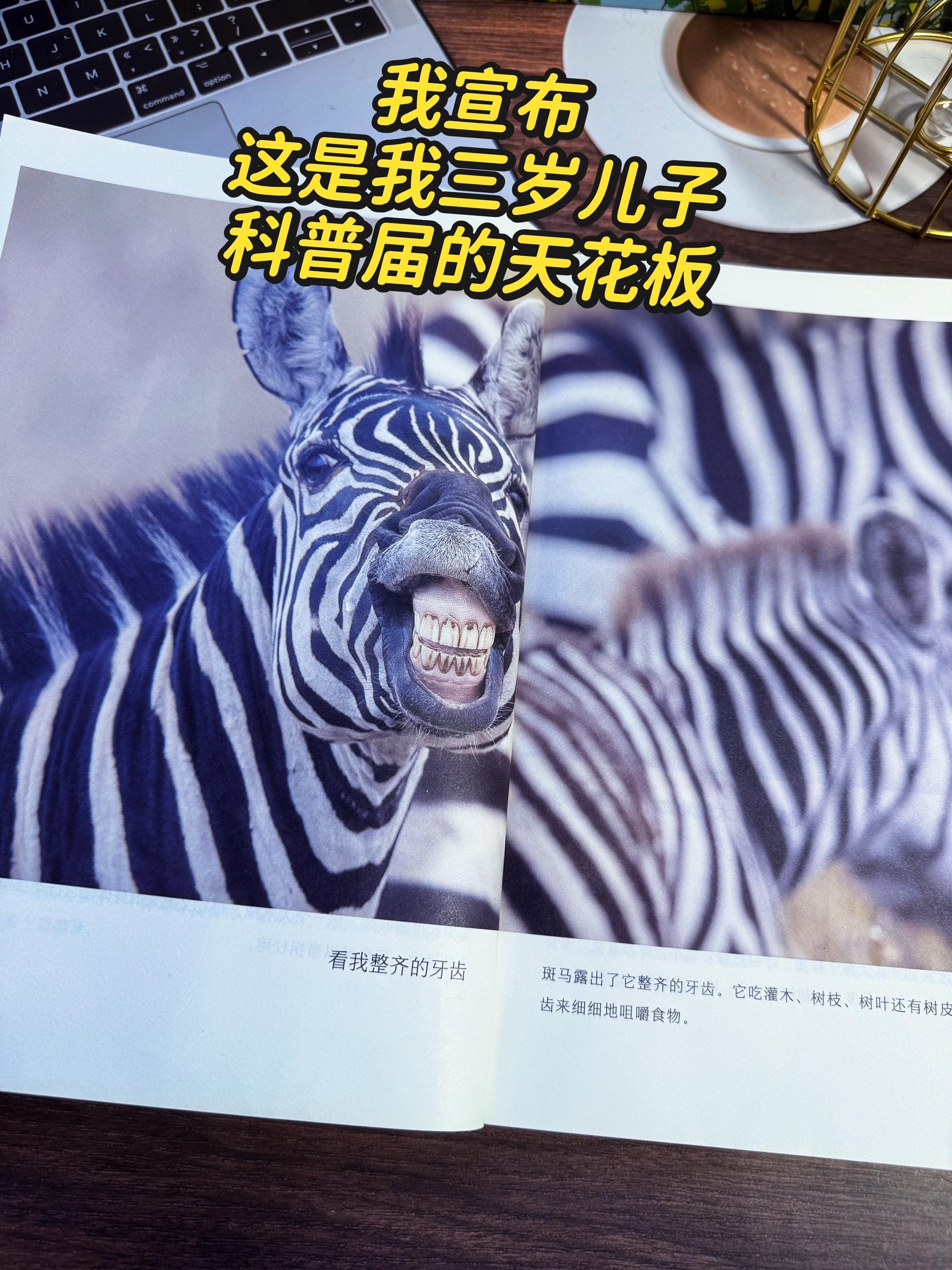 3岁就能看的科普书，送给孩子的视觉盛宴。谢谢你，让我3岁儿子认识200...