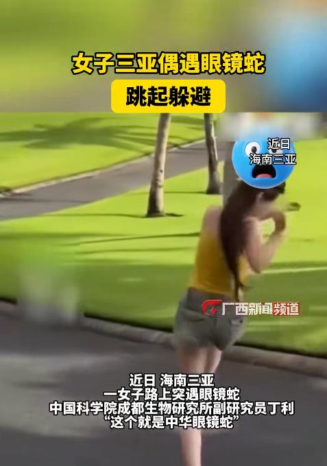 惊险！海南三亚，一名女子正对着镜头摆姿势，丝毫没察觉身后不到两米处，一条剧毒眼镜