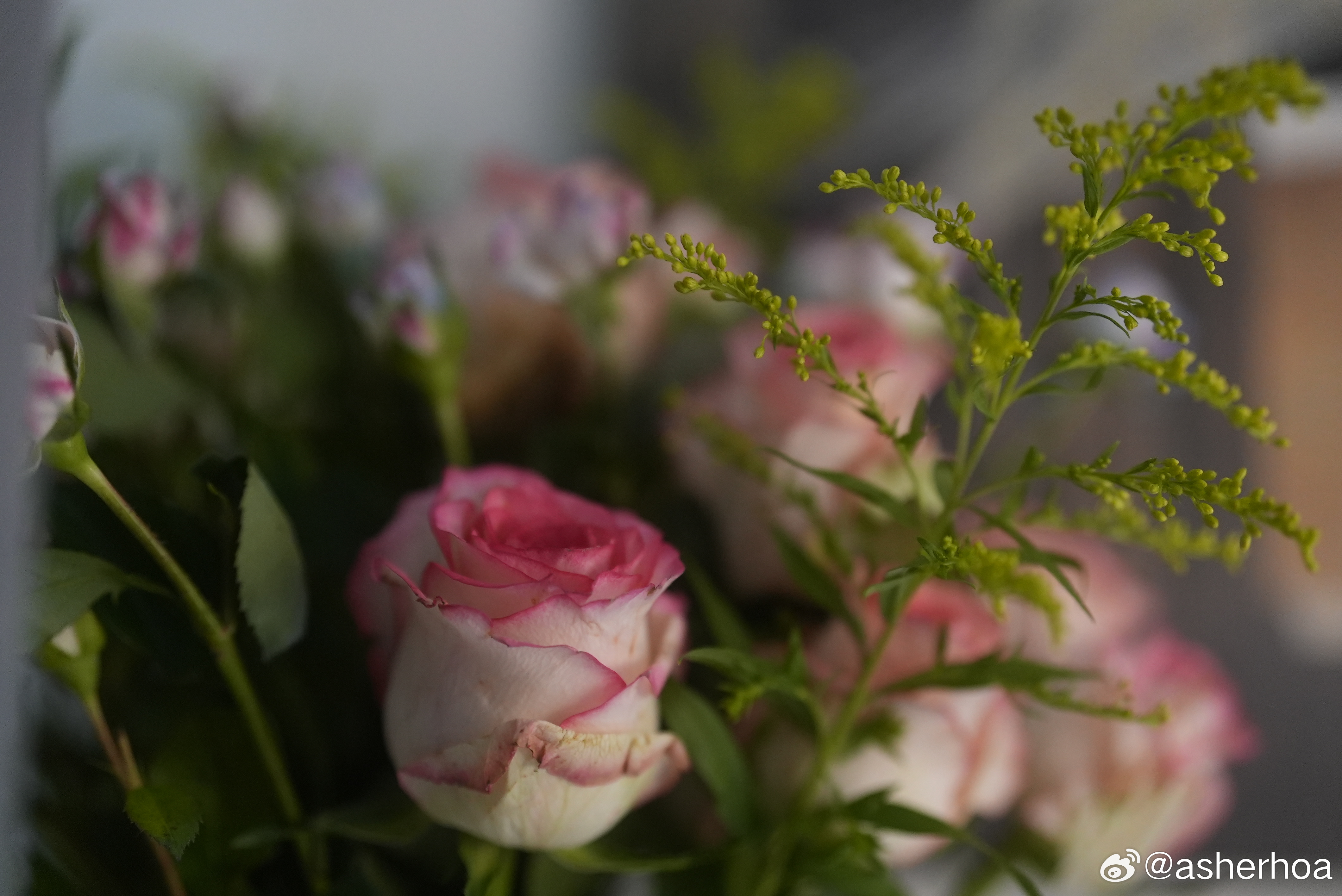 教师节你好老师 我从07年到大学教书，迄今也送走了十几届学生了，每个教师节都会有