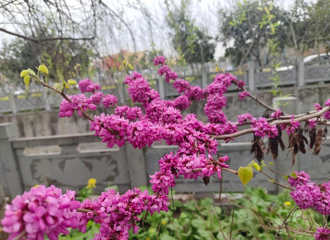 春暖花开的季节怎么还像冬天一样😓这就是贵州的天😡