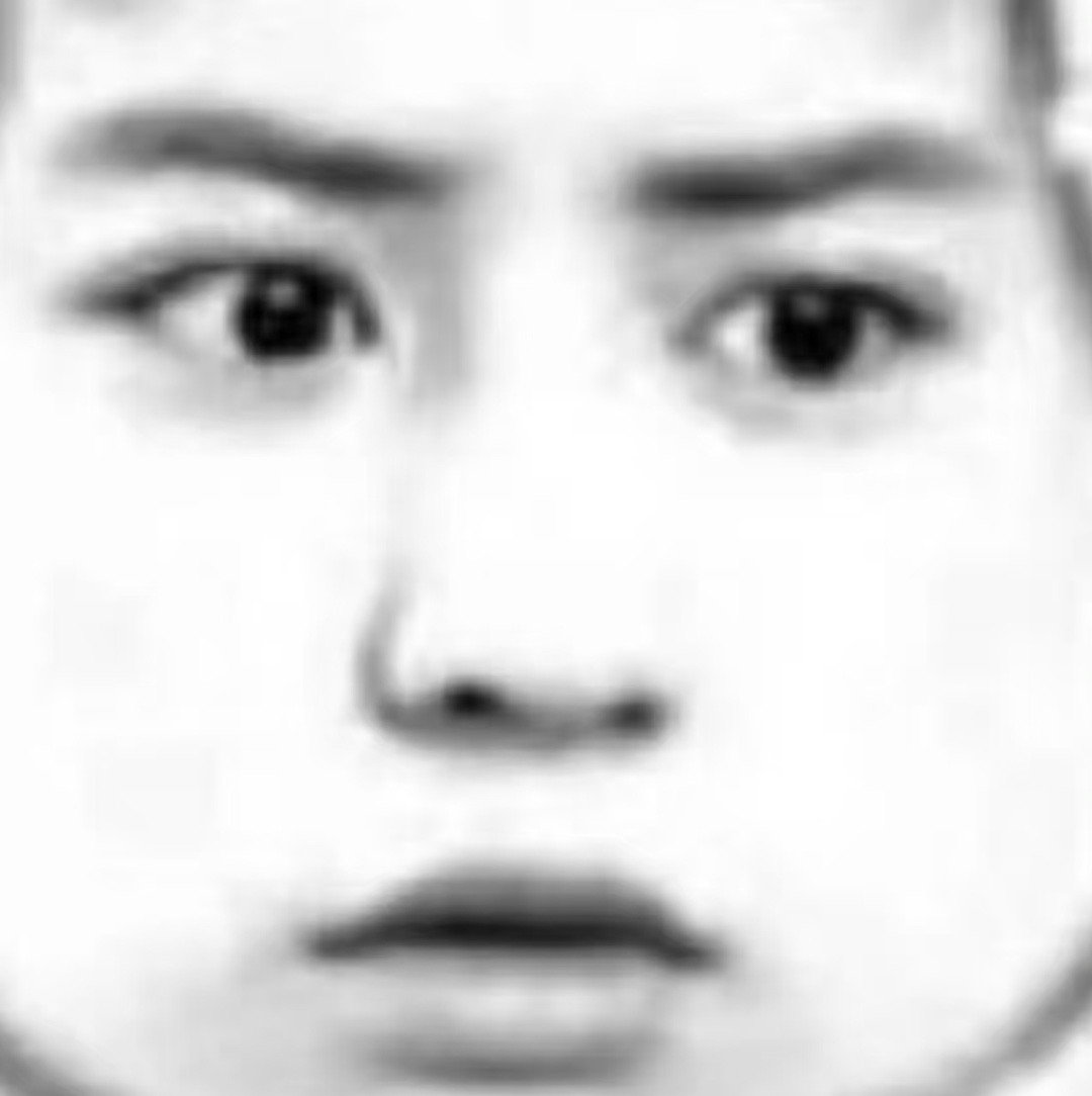 exo  ‖ 每日一善  ‖ 朴灿烈  朴灿烈·让我们走进灿烈宇宙🥰©网络 