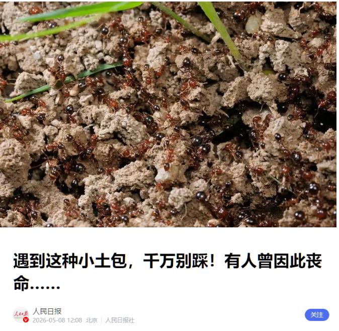 吓一跳！5月8日，人民日报突然发出罕见紧急提醒，直接警告市民千万别靠近草地上的小