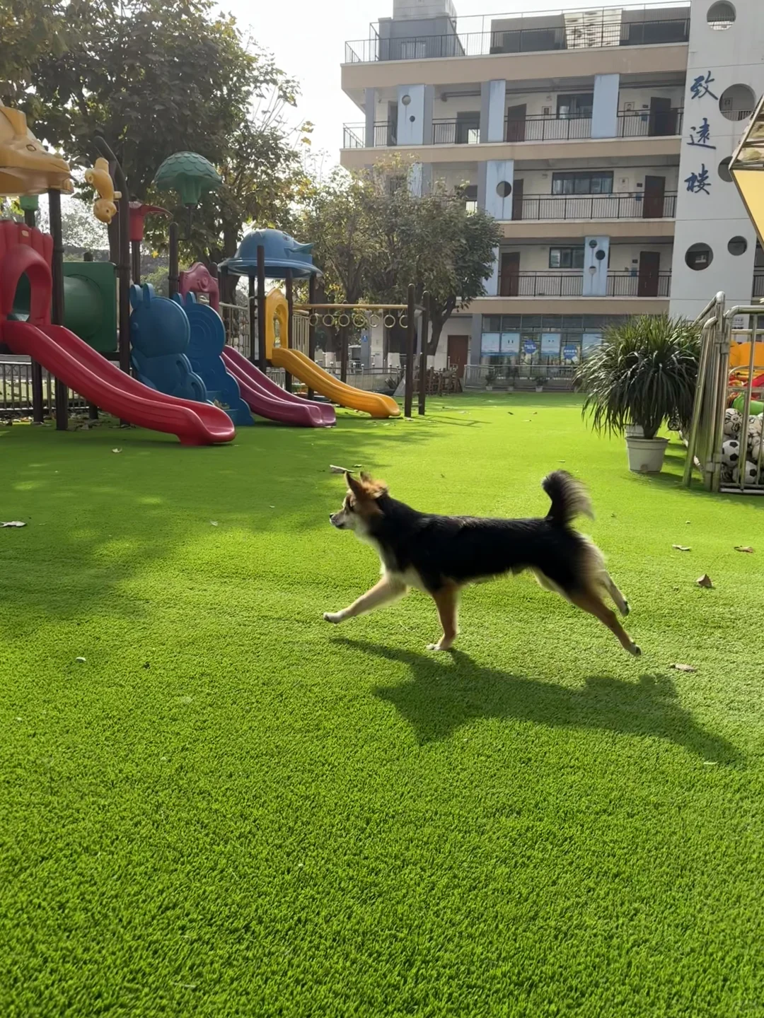 好像梦里的场景，又像老照片
