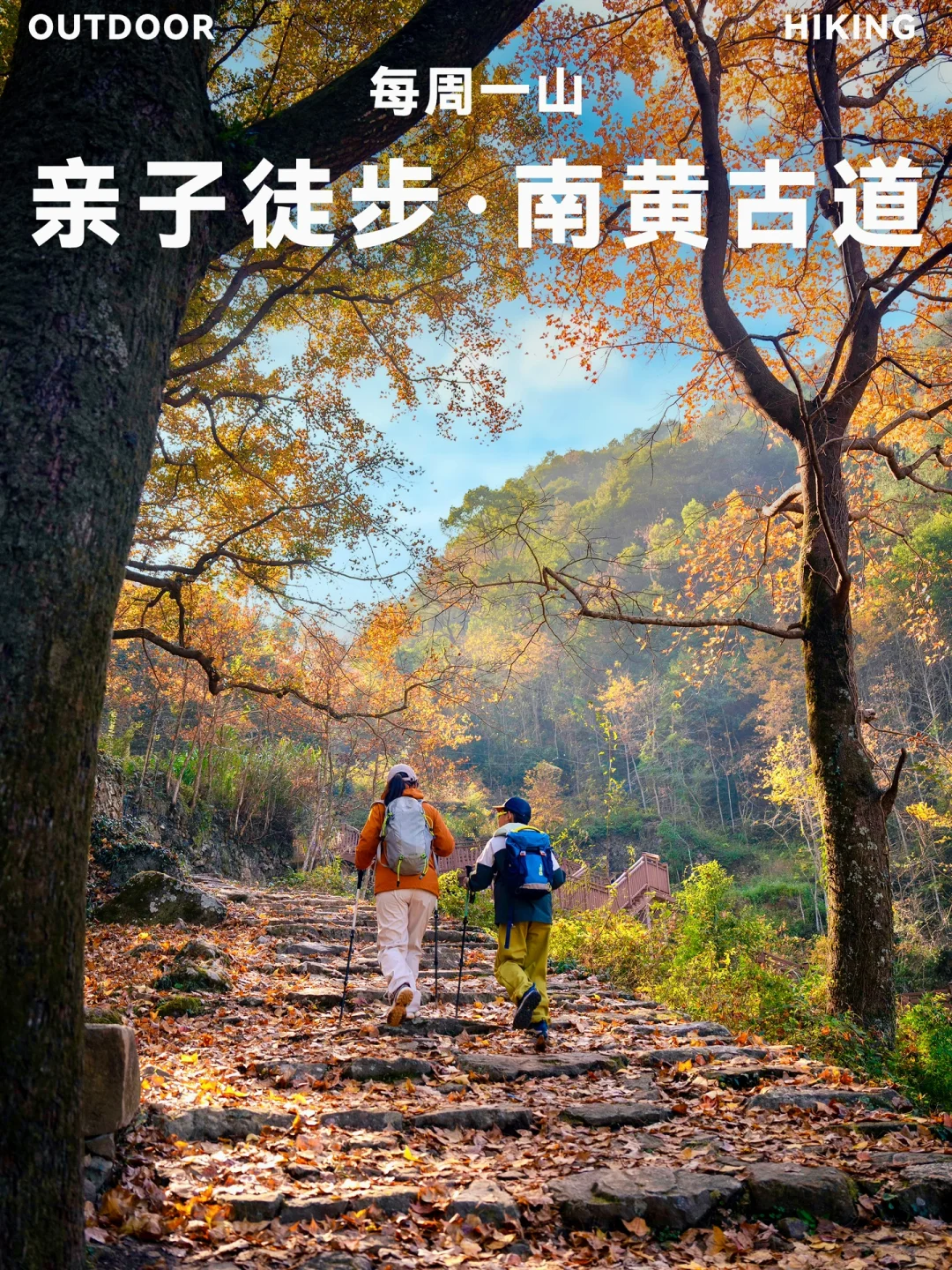 2024旅行结算|江浙沪徒步赏枫🍁天花板路线