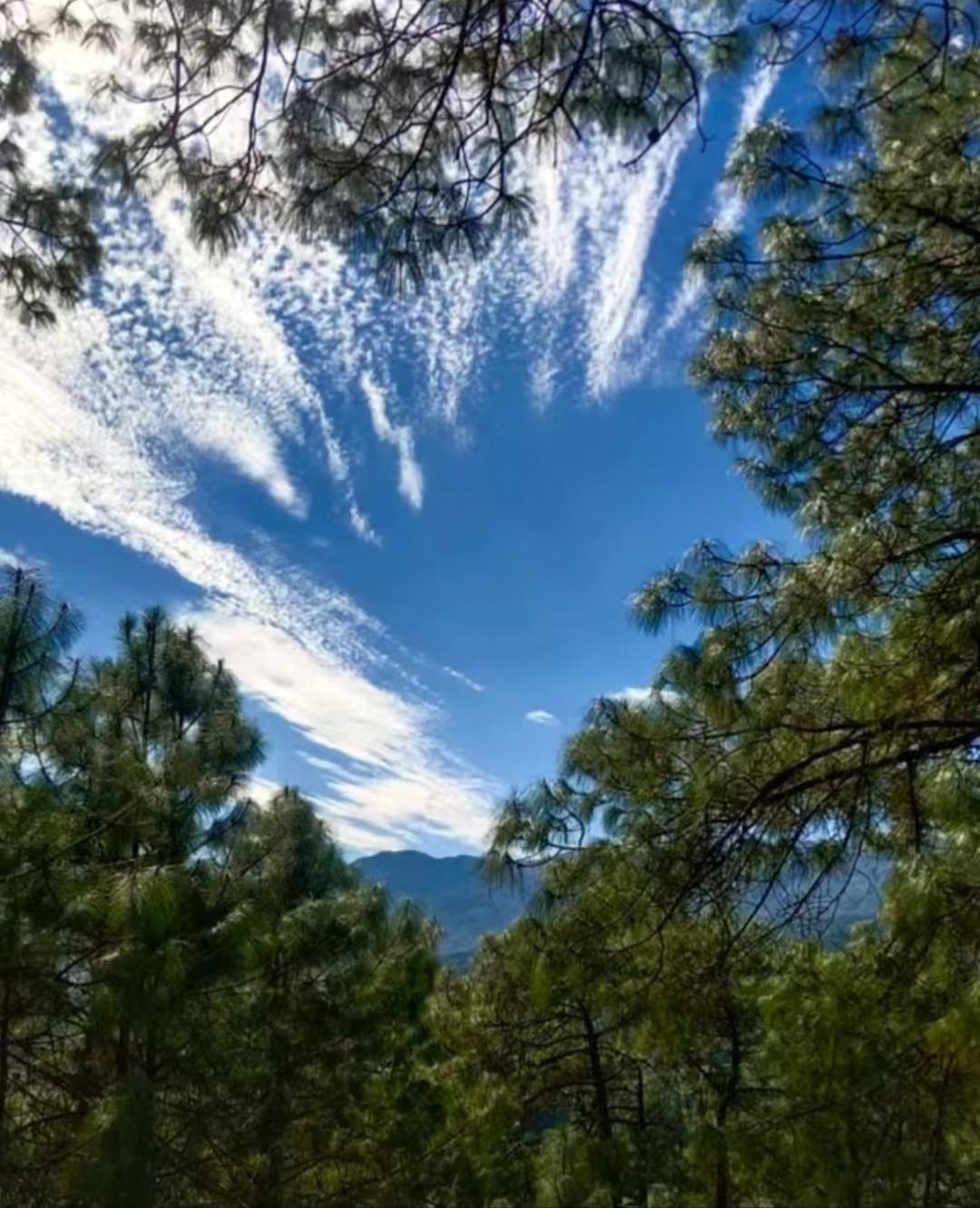 请问没有钱的穷人怎么扩大消费? 没钱的穷人想扩大消费，得先打破困境学会挣钱。像千