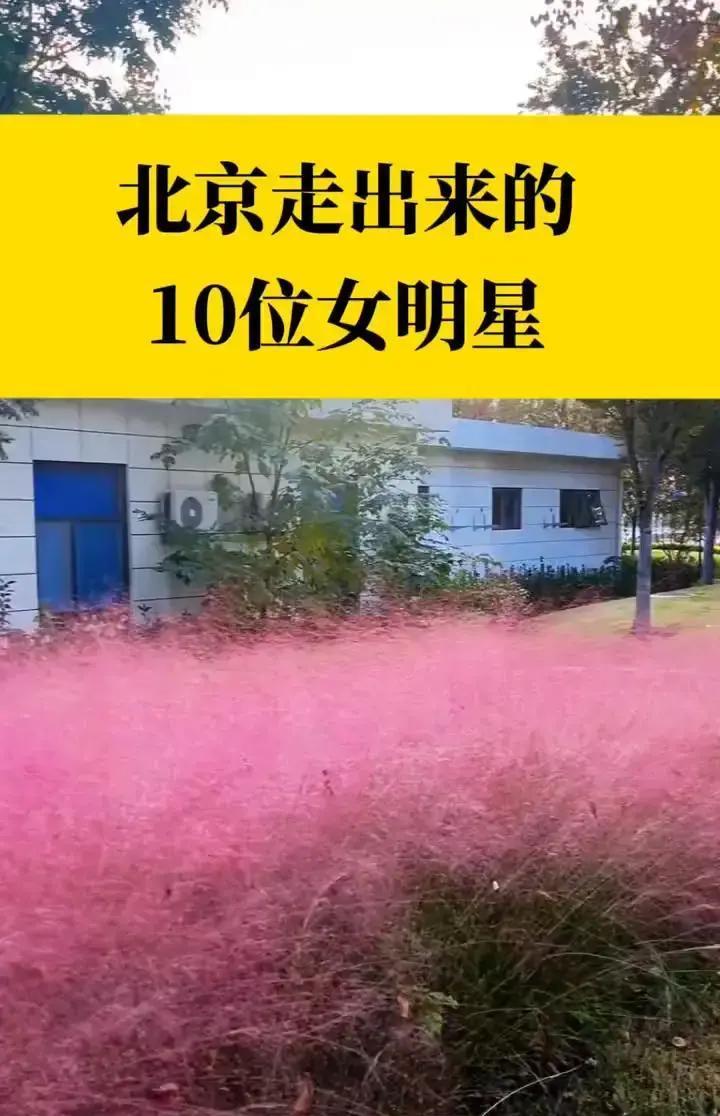 0.4%录取率，北京女孩还在冲
 
去年中戏放榜，近五万人抢两百个名额。地铁四号