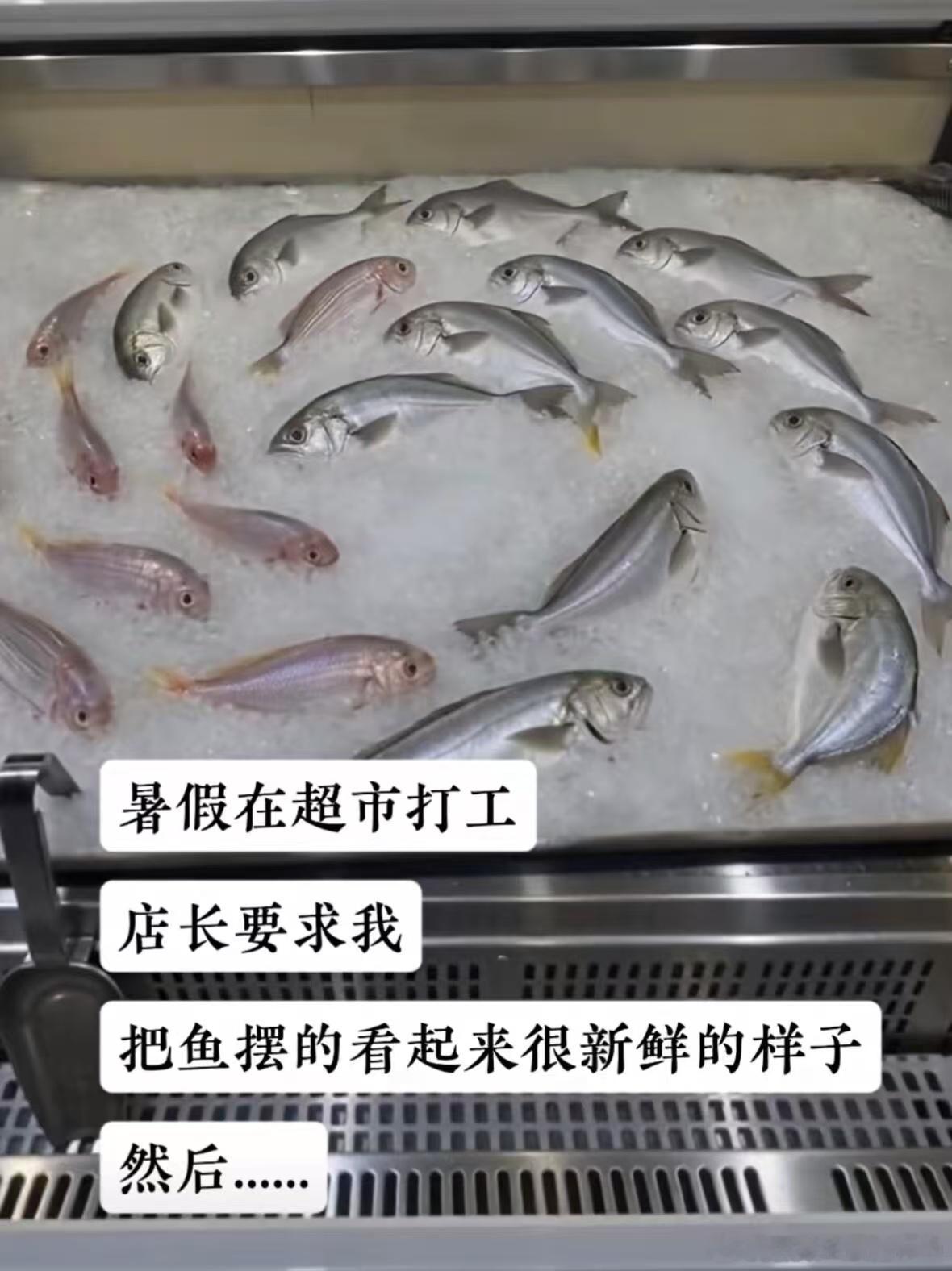 暑期打工日记暑假冲浪计划