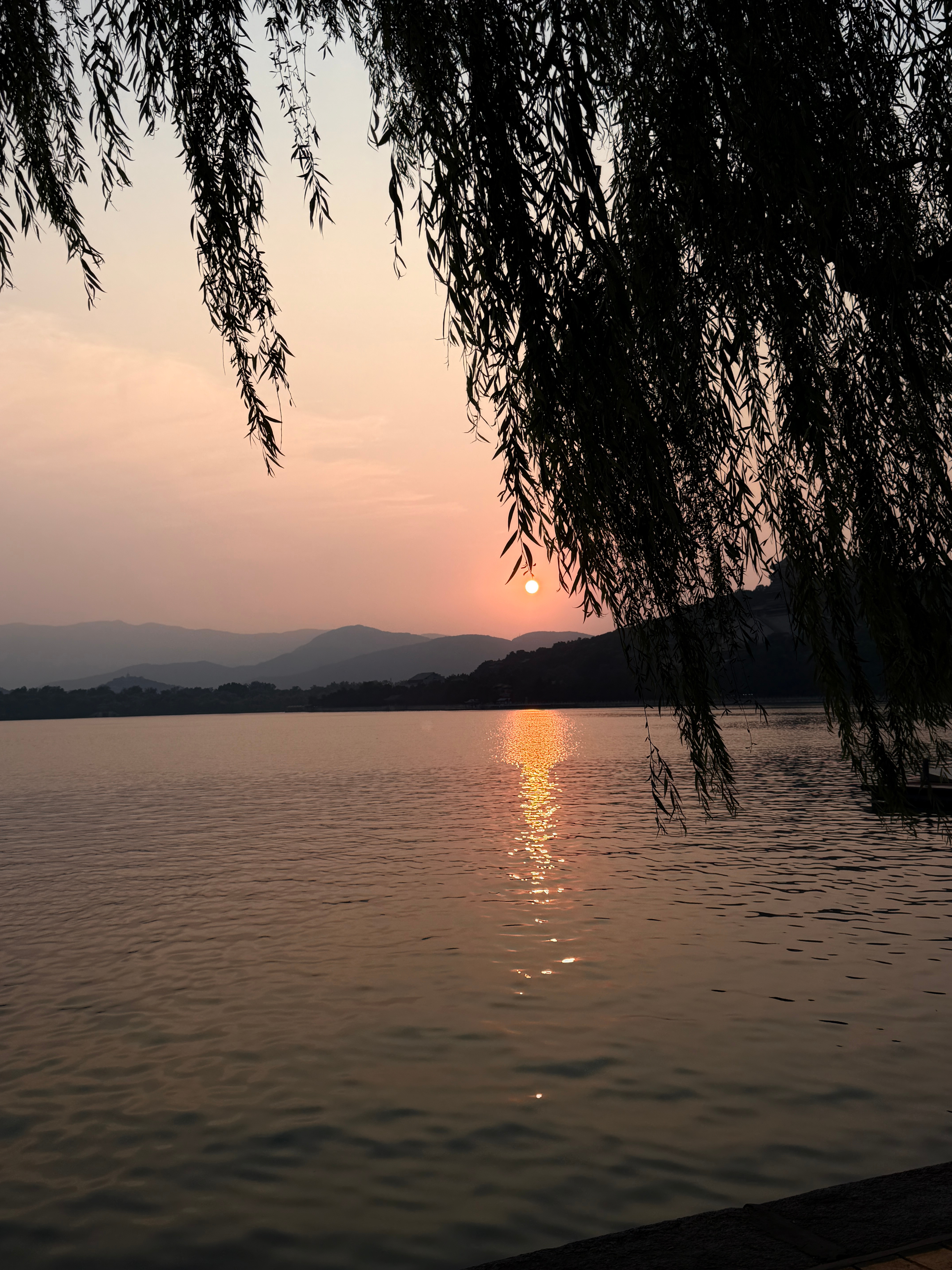 美 