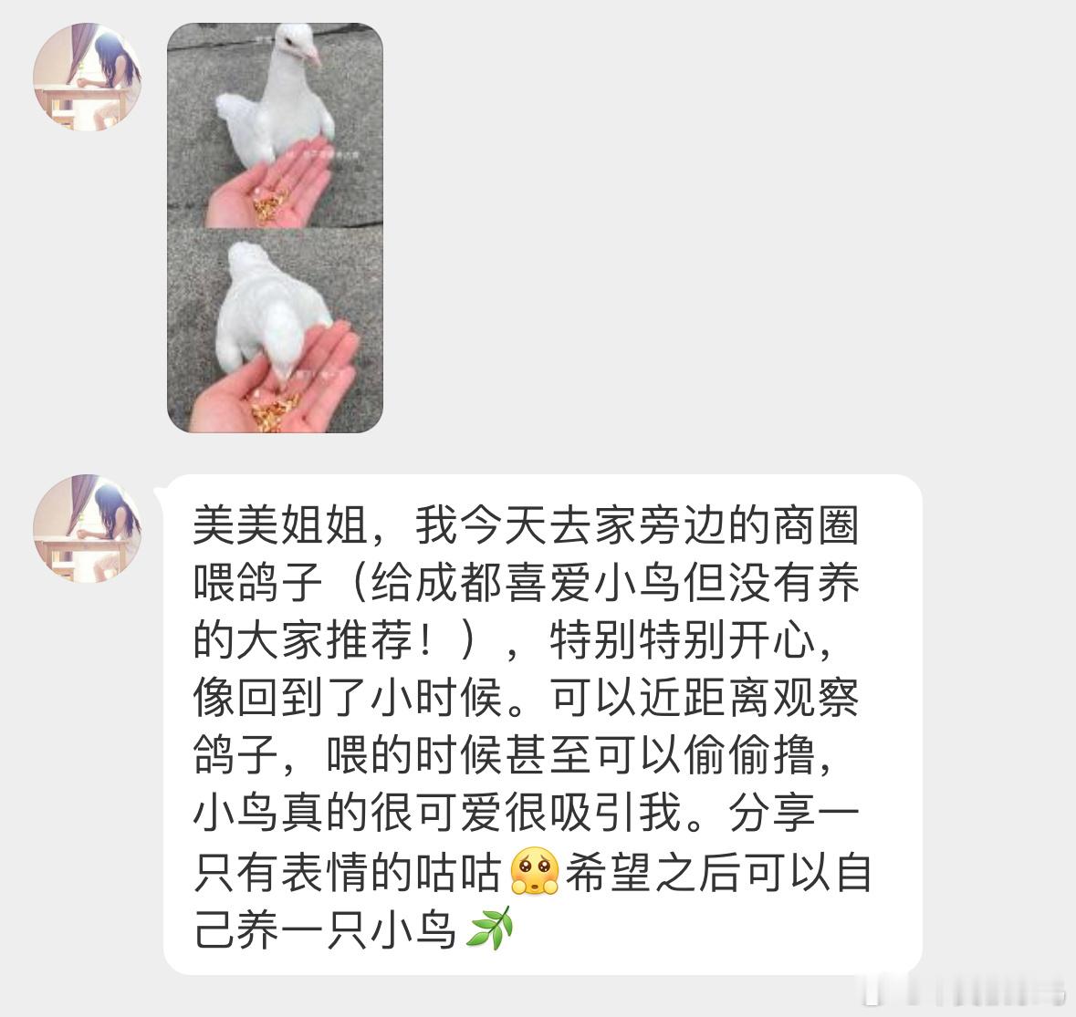 咕咕：干饭不积极 脑瓜有问题 ​​​