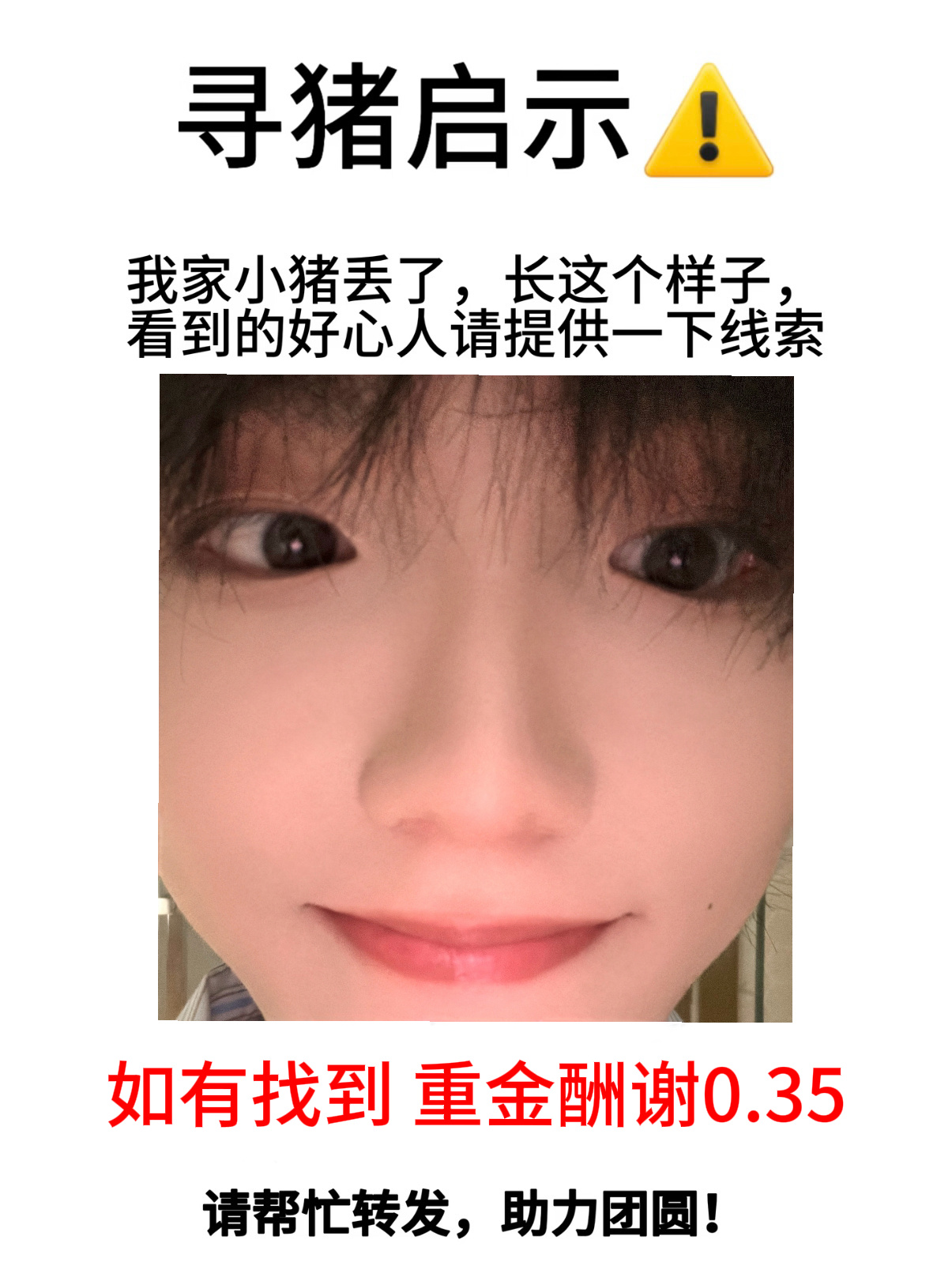 找小猪(^🐽^)prada品牌大使苏新皓