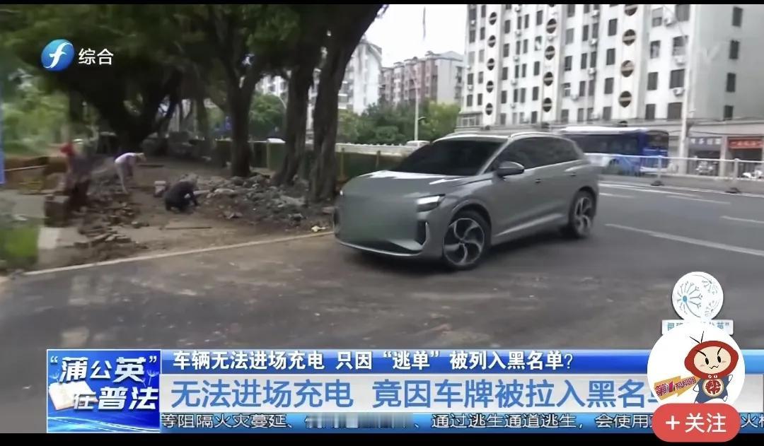 充电被拉黑，原因是逃单，那么到底有没有逃单是关键，所谓逃单就是加完油不给钱跑了，