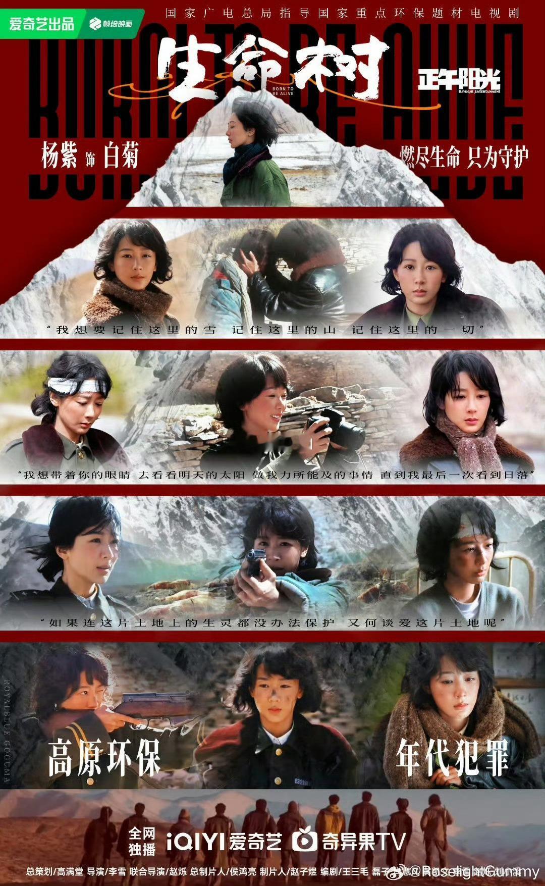 杨紫粉丝高质量海报输出是一点没有瓶颈期吗？ 