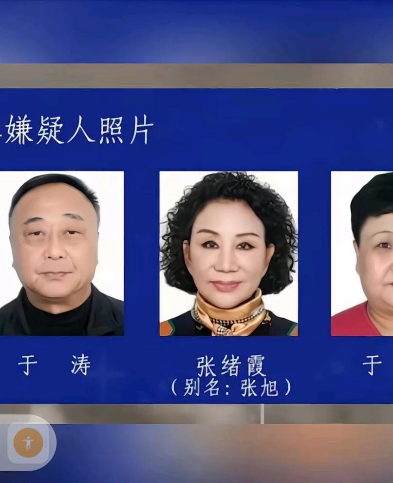 公安局长是黑恶势力，哈尔滨市公安局原副市长，涉黑恶犯罪，他的妻子和姐姐是犯罪集团
