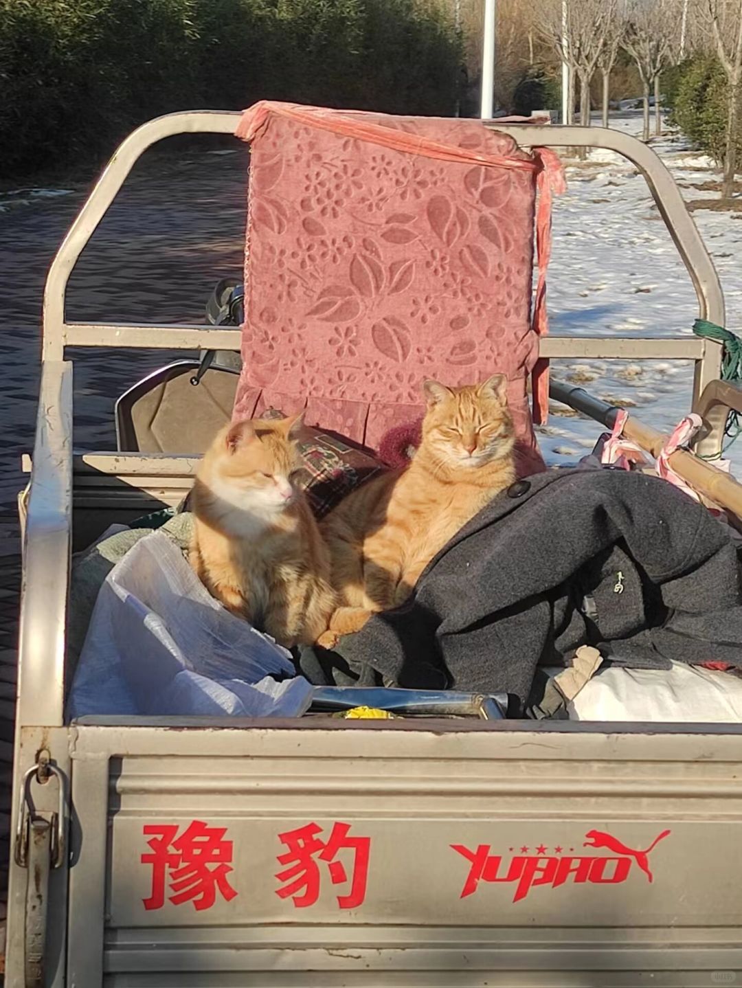 姥爷，到集市了吗