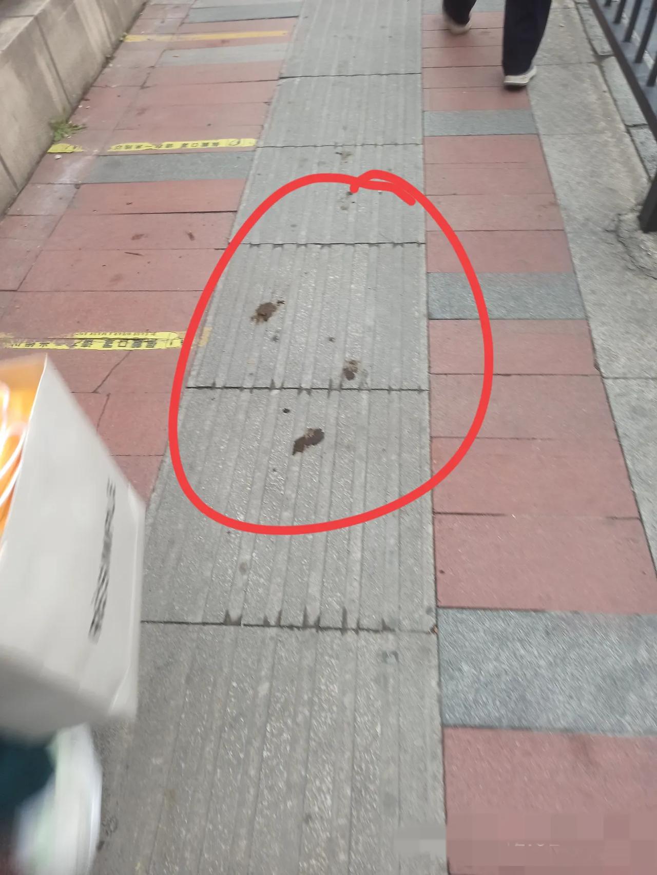 意不意外，惊不惊喜？这场景出现在一处人流密集的学校门口人行道上，首先我们先不去谴