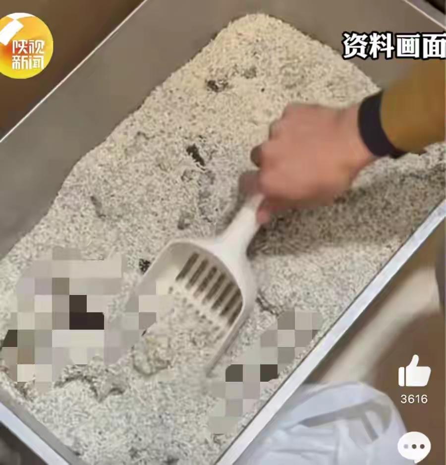 现在养宠物的人越来越多，猫砂使用也很常见，但北京张女士频繁往下水道冲“可溶解”猫