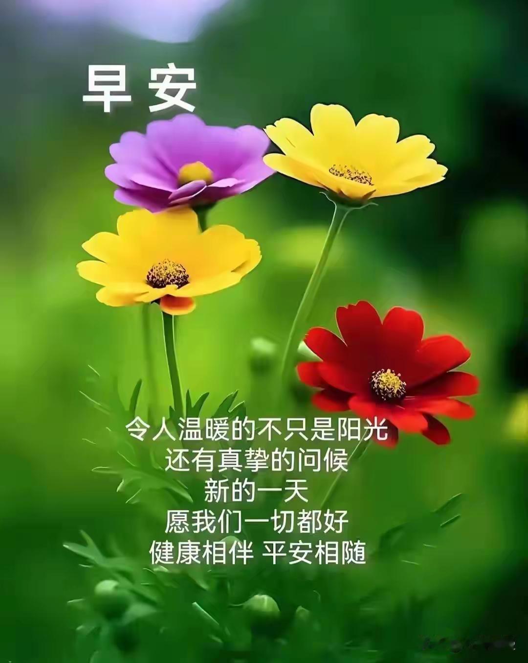 早安，愿你的一天充满阳光与温暖！🌻🌷🌼