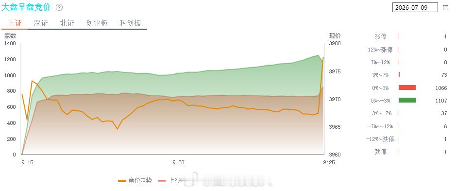 天天这样，没有什么好说，长鑫上市快来了，半导体主龙出现，杂毛会死，七月上旬做好减