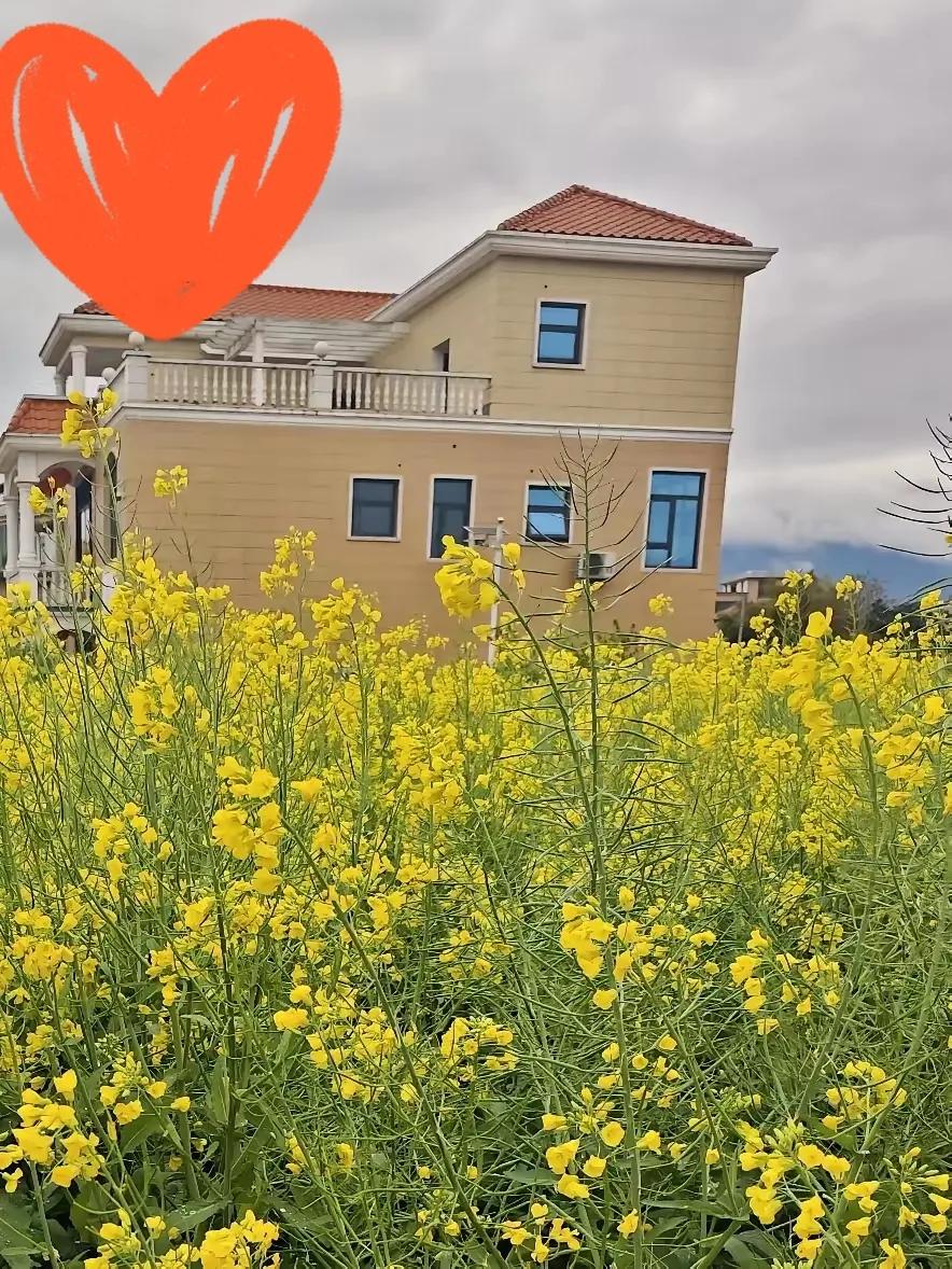 当年谁也想不到，八十年代那个死活不肯读高中、偷偷跟外省男人跑了的姑娘，多年后竟成