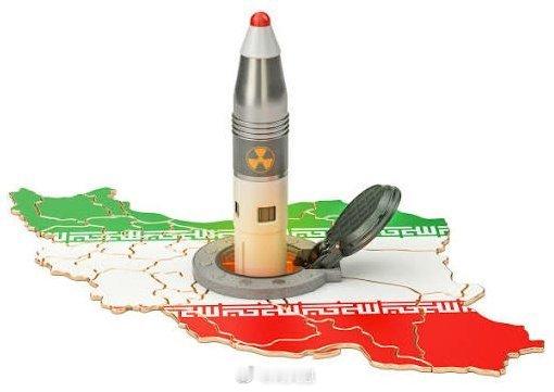 希伯来语报纸《以色列今日》：这份投降协议，即以色列政权所称的“梦想协议”，其中包