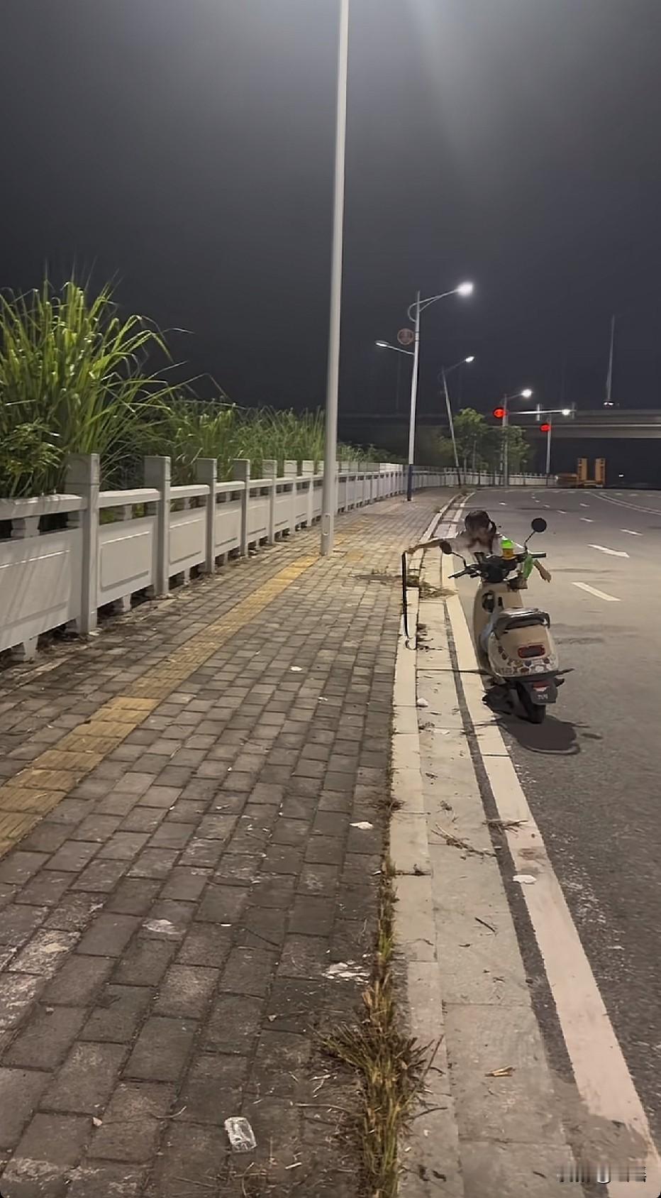 这个女生真的好勇敢好勇敢呀