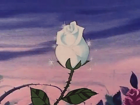 今日份好运已派送💌上榜星座：水瓶座、天秤座、双子座 