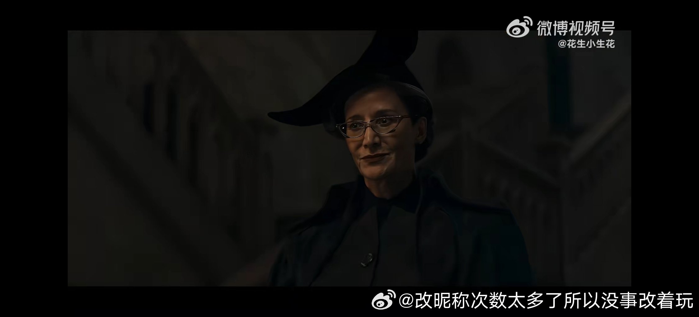 虽然有这个黑稠内普我就肯定不会看（一样比较黑赫敏眼鼻都还行，这标准大鼻子稠黑人）