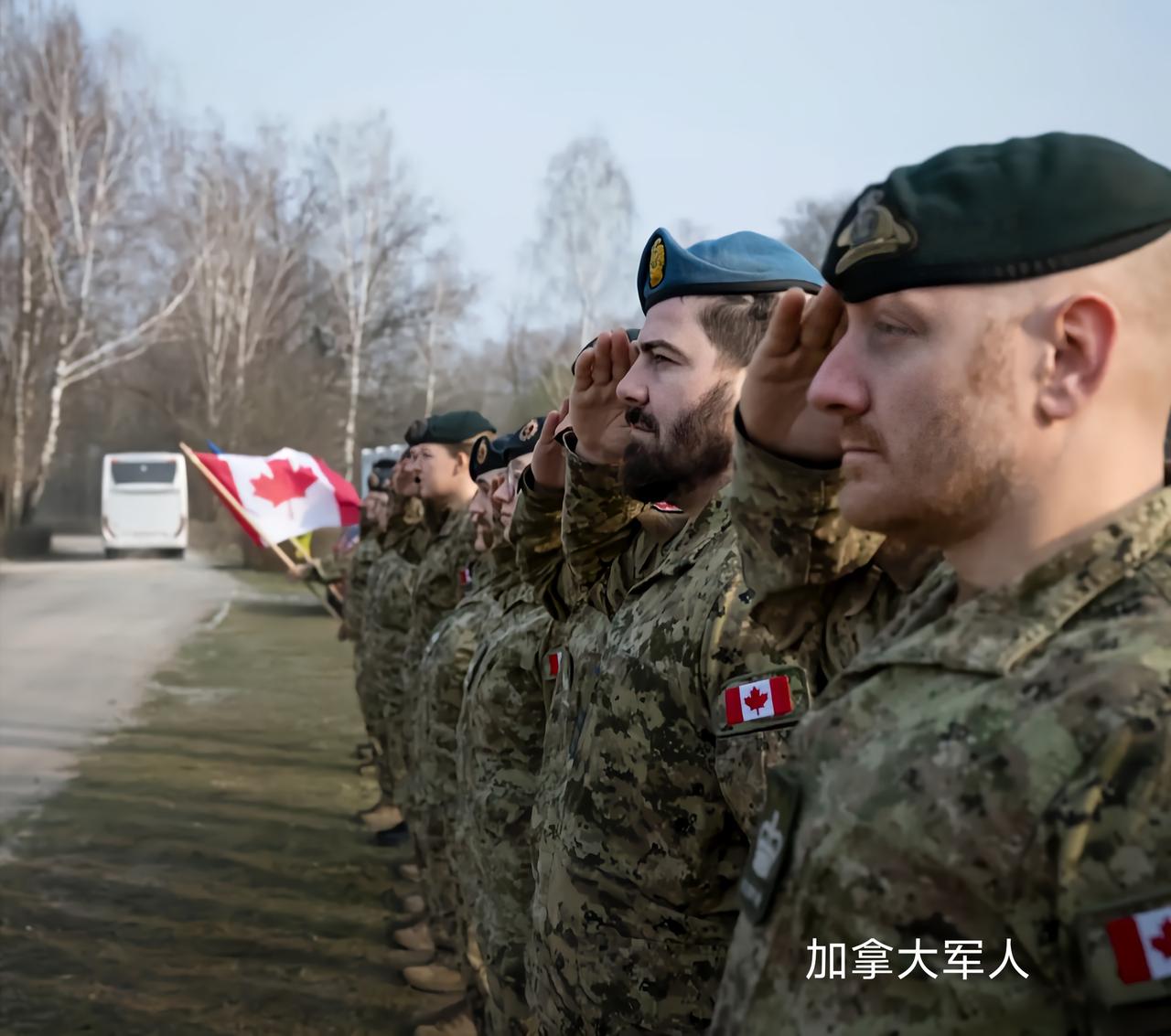 加拿大国防工业面临着不少挑战。从资金方面来看，投入不足是个大问题。有限的国防预算