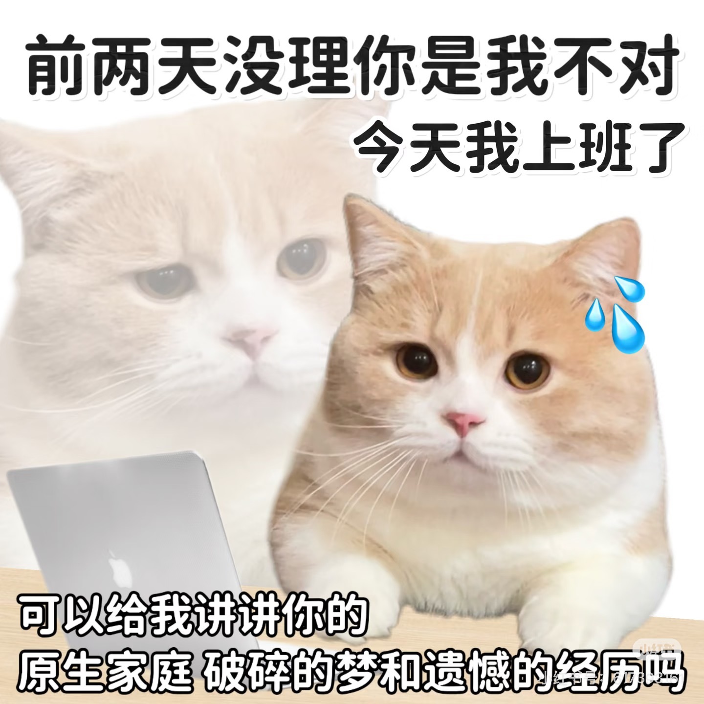 已到工位消息秒回已到工位家里的是非，情人的隔阂，原生的家庭，伴侣的争吵，社会的矛
